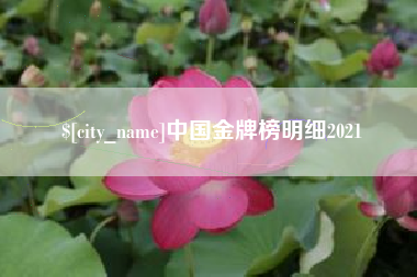 嘉峪关中国金牌榜明细2021