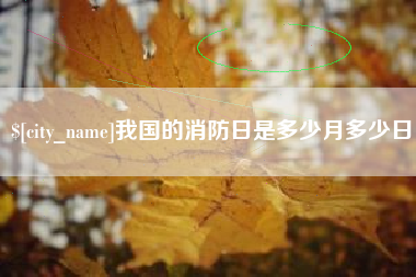 嘉峪关我国的消防日是多少月多少日