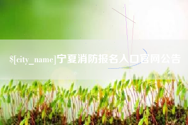 嘉峪关宁夏消防报名入口官网公告
