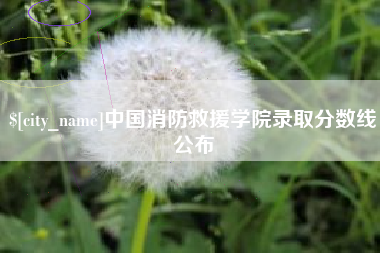 嘉峪关中国消防救援学院录取分数线公布