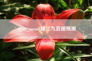 嘉峪关排三九宫图预测