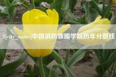 嘉峪关中国消防救援学院历年分数线