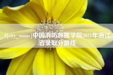 嘉峪关中国消防救援学院2021年浙江省录取分数线