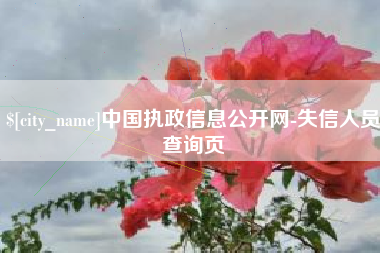 嘉峪关中国执政信息公开网-失信人员查询页