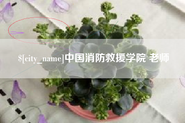 嘉峪关中国消防救援学院 老师