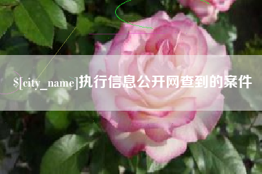 嘉峪关执行信息公开网查到的案件