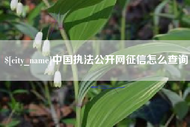 嘉峪关中国执法公开网征信怎么查询