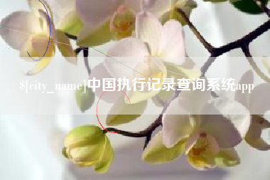 嘉峪关中国执行记录查询系统app