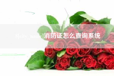 嘉峪关消防证怎么查询系统