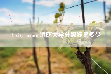 嘉峪关消防大学分数线是多少