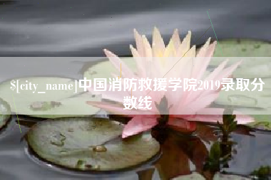 嘉峪关中国消防救援学院2019录取分数线