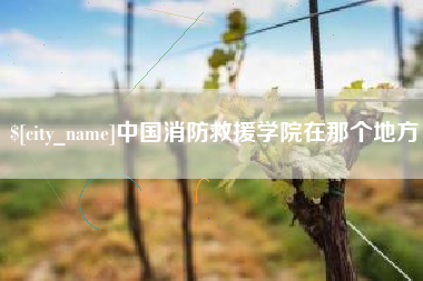 嘉峪关中国消防救援学院在那个地方
