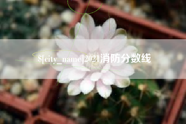 嘉峪关2021消防分数线