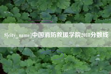 嘉峪关中国消防救援学院2018分数线