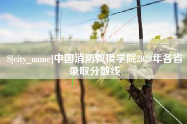 嘉峪关中国消防救援学院2020年各省录取分数线