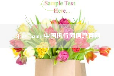 嘉峪关中国执行网信息官网