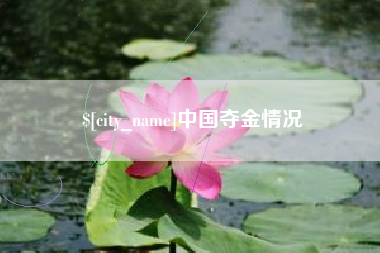 嘉峪关中国夺金情况