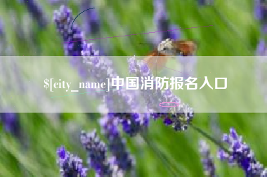 嘉峪关中国消防报名入口