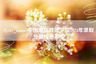 嘉峪关中国消防救援学院2024年录取分数线是多少