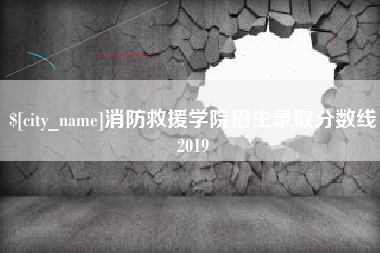 嘉峪关消防救援学院招生录取分数线2019