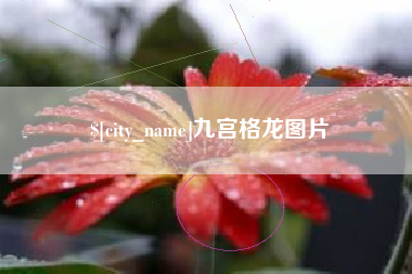 嘉峪关九宫格龙图片