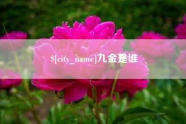 嘉峪关九金是谁