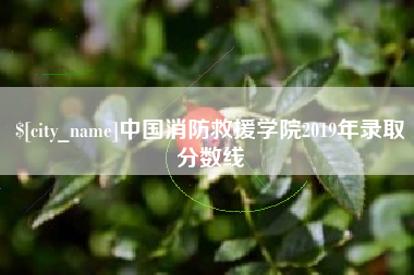 嘉峪关中国消防救援学院2019年录取分数线