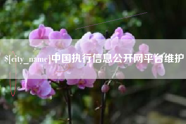 嘉峪关中国执行信息公开网平台维护
