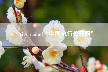 嘉峪关“中国执行公开网”