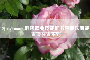 嘉峪关消防职业技能证书查询以前能查现在查不到