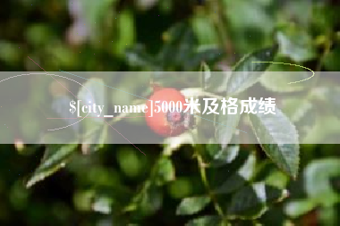 嘉峪关5000米及格成绩