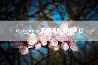 嘉峪关国家消防报名入口