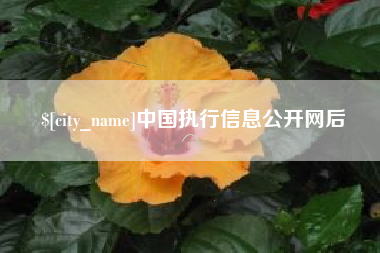 嘉峪关中国执行信息公开网后