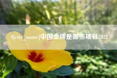 嘉峪关中国金牌是哪些项目2021