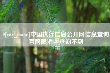 嘉峪关中国执行信息公开网信息查询官网限消中查询不到