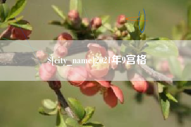 嘉峪关2021年9宫格