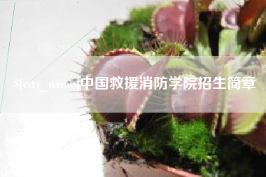 嘉峪关中国救援消防学院招生简章