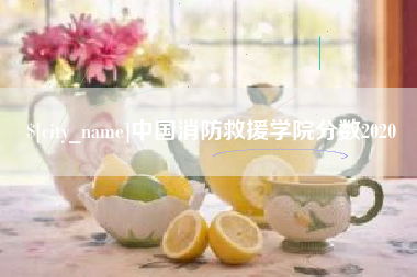 嘉峪关中国消防救援学院分数2020