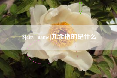 嘉峪关九金指的是什么