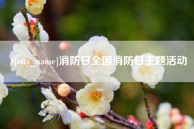 嘉峪关消防日全国消防日主题活动