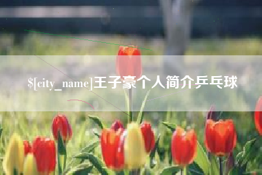 嘉峪关王子豪个人简介乒乓球