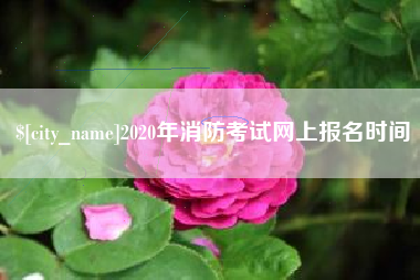 嘉峪关2020年消防考试网上报名时间