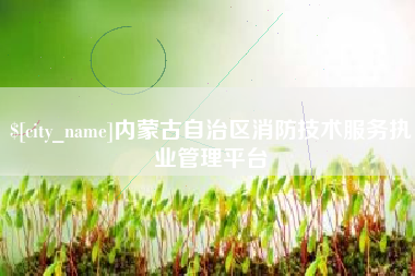 嘉峪关内蒙古自治区消防技术服务执业管理平台
