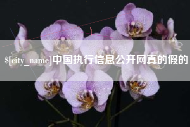 嘉峪关中国执行信息公开网真的假的
