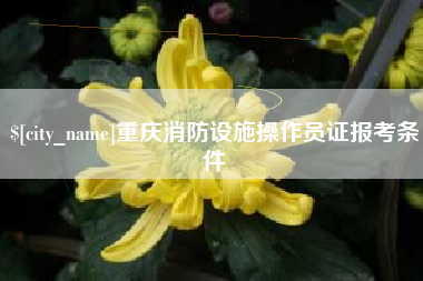 嘉峪关重庆消防设施操作员证报考条件