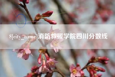 嘉峪关消防救援学院四川分数线