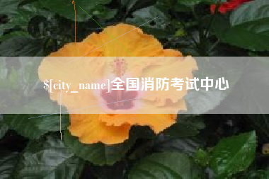 嘉峪关全国消防考试中心