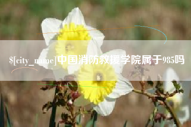 嘉峪关中国消防救援学院属于985吗