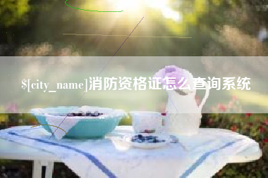 嘉峪关消防资格证怎么查询系统