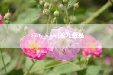 嘉峪关第九金是